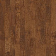 Shaw Floors Shaw Hardwoods Mccormick Cider 00221_XW022