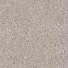 Shaw Floors Roll Special Xy024 Greige