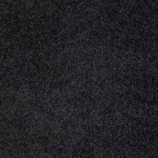 Shaw Floors Roll Special Xy024 Hidden Falls