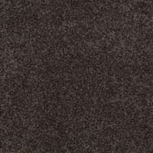 Shaw Floors Roll Special Xy024 Cabot Trail