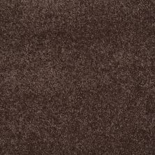 Shaw Floors Roll Special Xy024 Maple