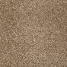 Shaw Floors Roll Special Xy024 Bridgewater Tan