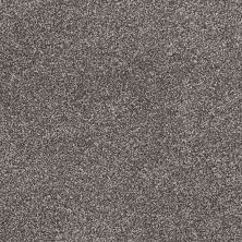 Shaw Floors Roll Special Xy024 Bear Mountain