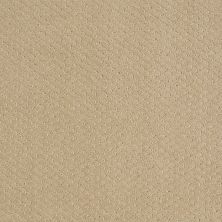 Shaw Floors Roll Special Xy093 Fieldstone