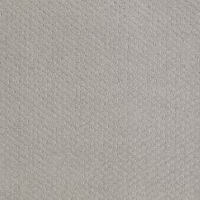 Shaw Floors Roll Special Xy093 Sea Salt