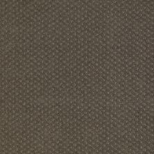 Shaw Floors Roll Special Xy093 Graphite