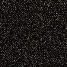 Shaw Floors Roll Special Xy138 Wild Horses