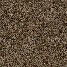 Shaw Floors Roll Special Xy140 Sandpiper