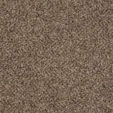 Shaw Floors Roll Special Xy141 Worn Path