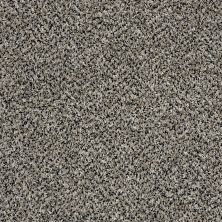 Shaw Floors Roll Special Xy143 Birch Tree