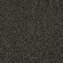 Shaw Floors Roll Special Xy143 Iron Age