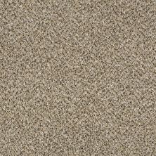 Shaw Floors Value Collections Xy145 12′ Net Sea Shell 00100_XY145
