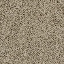 Shaw Floors Value Collections Xy145 12′ Net Ivory Coast 00101_XY145