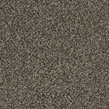 Shaw Floors Value Collections Xy145 12′ Net Timber Wolf 00104_XY145