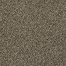 Shaw Floors Value Collections Xy145 12′ Net Muffin Top 00200_XY145