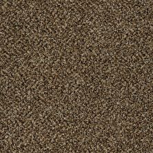 Shaw Floors Value Collections Xy145 12′ Net Sandpiper 00201_XY145