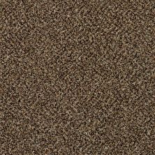 Shaw Floors Value Collections Xy145 12′ Net Raw Sienna 00202_XY145
