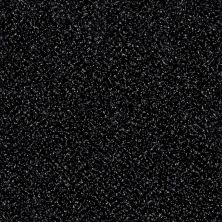 Shaw Floors Value Collections Xy145 12′ Net Under Water 00400_XY145