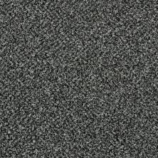 Shaw Floors Value Collections Xy145 12′ Net Smokey Shimmer 00502_XY145