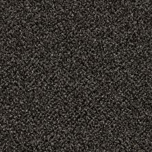 Shaw Floors Value Collections Xy145 12′ Net Iron Age 00503_XY145