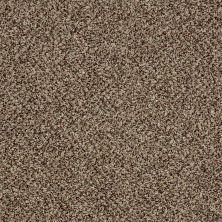 Shaw Floors Value Collections Xy145 12′ Net Worn Path 00700_XY145