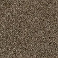 Shaw Floors Value Collections Xy145 12′ Net Pinecone 00701_XY145