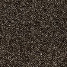 Shaw Floors Value Collections Xy145 12′ Net River Rock 00702_XY145