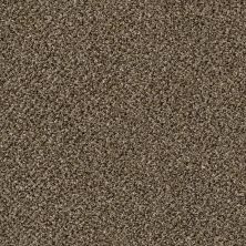 Shaw Floors Value Collections Xy147 Pinecone 00701_XY147