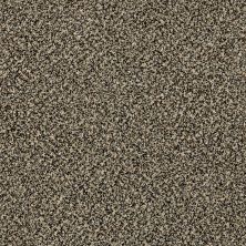 Shaw Floors Value Collections Xy149 Muffin Top 00200_XY149