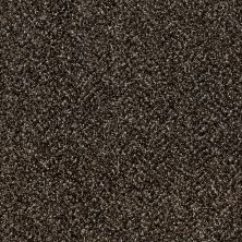 Shaw Floors Value Collections Xy149 River Rock 00702_XY149