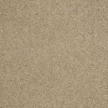 Shaw Floors Roll Special Xy157 Wool Skein