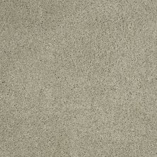 Shaw Floors Roll Special Xy157 Haven