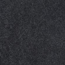 Shaw Floors Roll Special Xy157 Indigo