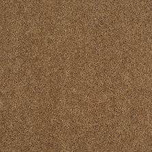 Shaw Floors Roll Special Xy157 Leather Bound