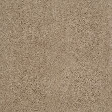 Shaw Floors Roll Special Xy157 Mushroom