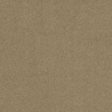 Shaw Floors Roll Special Xy157 Prairie