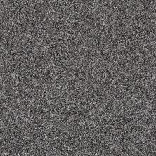 Shaw Floors Roll Special Xy158 Shadow 00502_XY158
