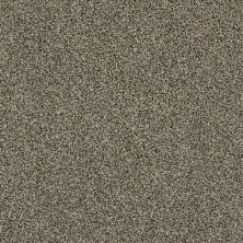 Shaw Floors Roll Special Xy160 Dynamic