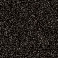 Shaw Floors Value Collections Xy161 Net Rich Earth