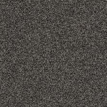 Shaw Floors Value Collections Xy163 Net Soot