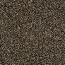 Shaw Floors Value Collections Xy163 Net River Walk