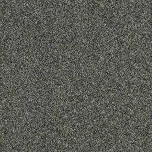 Shaw Floors Roll Special Xy164 Marina