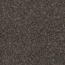 Shaw Floors Value Collections Xy167 Net Boulder
