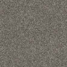 Shaw Floors Roll Special Xy168 Ashes