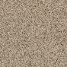 Shaw Floors Roll Special Xy178 Salty Butter