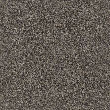 Shaw Floors Roll Special Xy178 Goal Post