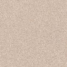 Shaw Floors Roll Special Xy184 River Rock