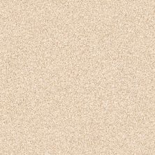 Shaw Floors Roll Special Xy184 Frosted Honey