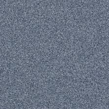 Shaw Floors Roll Special Xy184 Ocean Blue