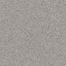 Shaw Floors Roll Special Xy184 Castle Stone